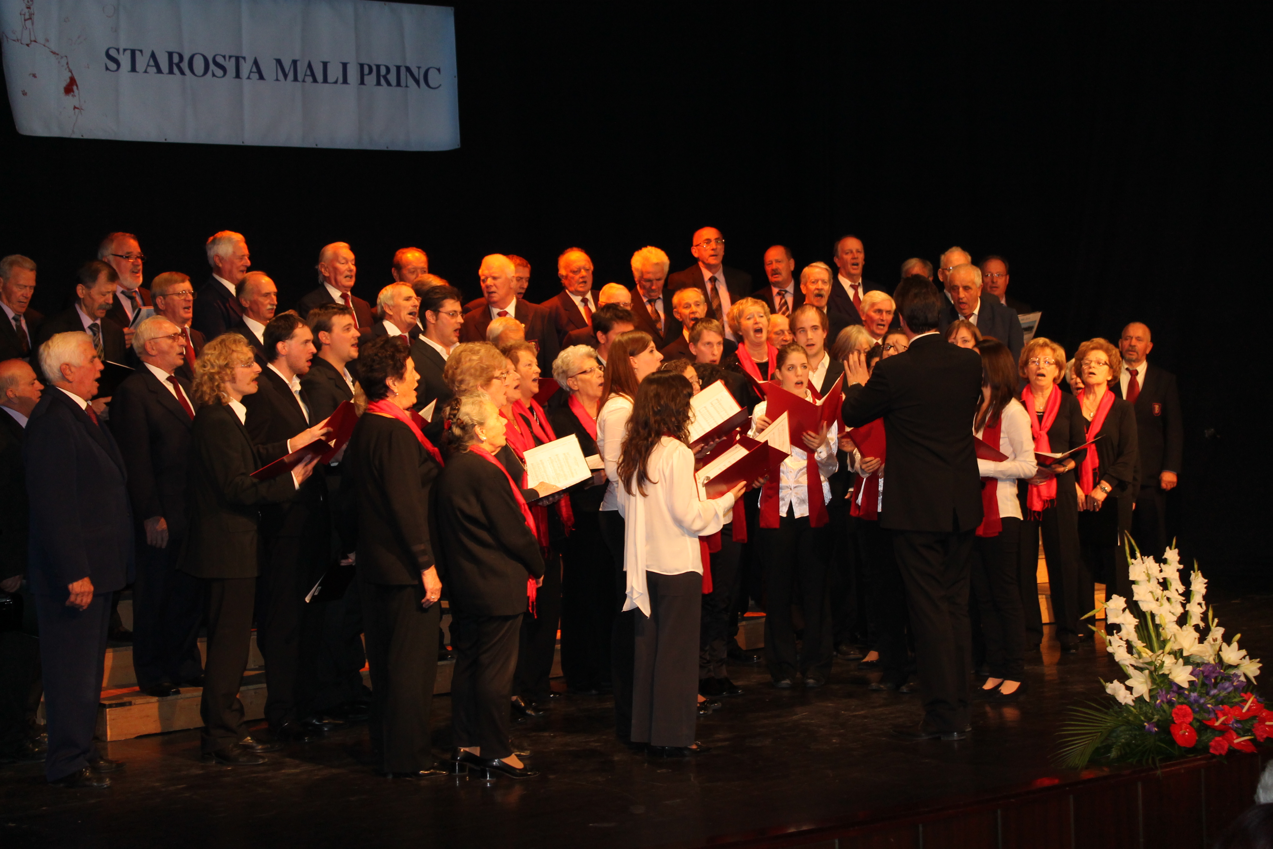 Starosta Mali Princ