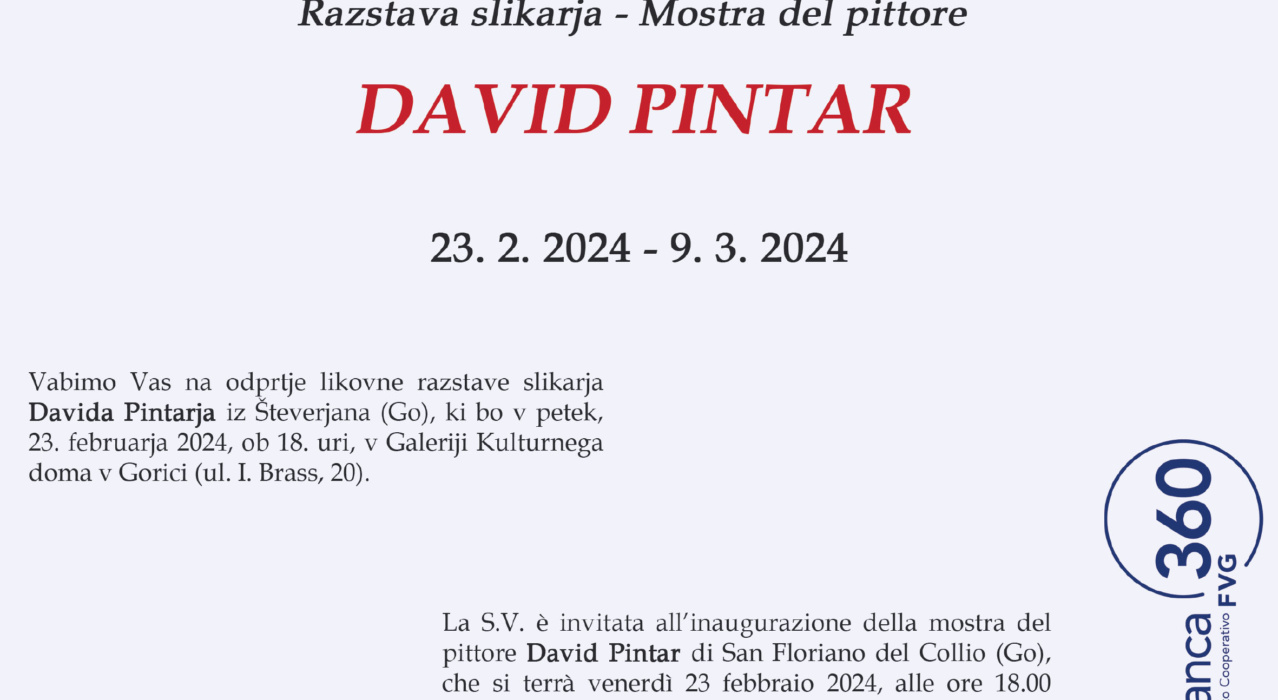 David Pintar – mostra