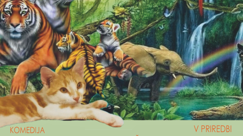 KAKŠNI SMO…DRUGAČNI – Komigo 2026